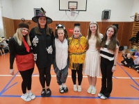 Karneval ŠD