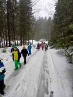 Zimní sportovní kurz - I. stupeň