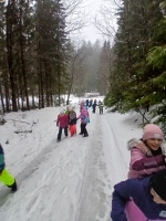 Zimní sportovní kurz - I. stupeň