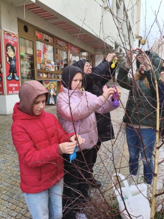 Bříza