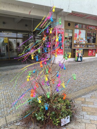 Bříza