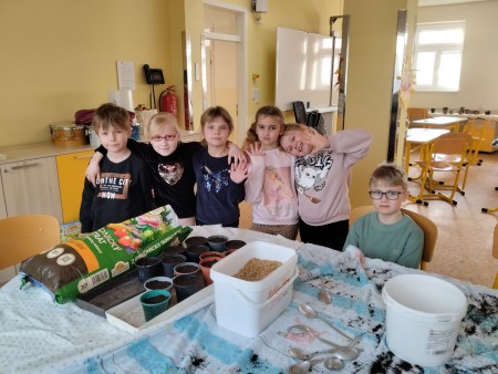 Kuřátka a obilí