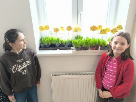 Kuřátka a obilí