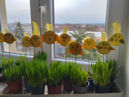 Kuřátka a obilí